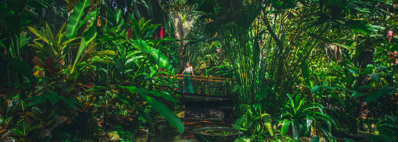 Nayara Springs