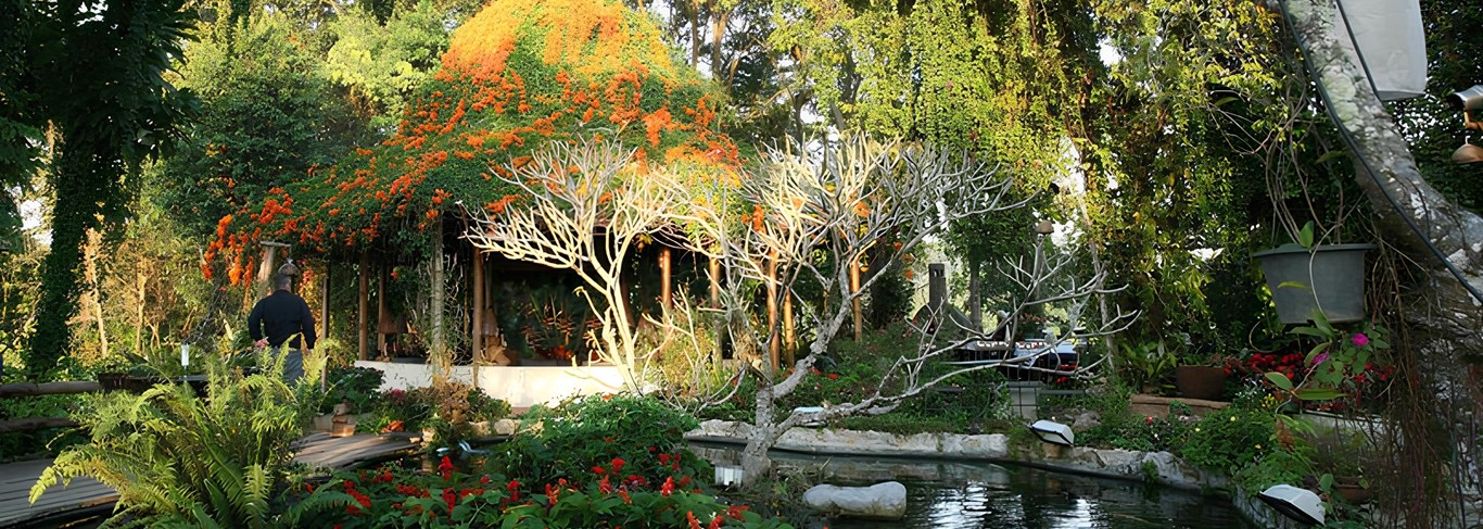 Les jardins de l'hôtel