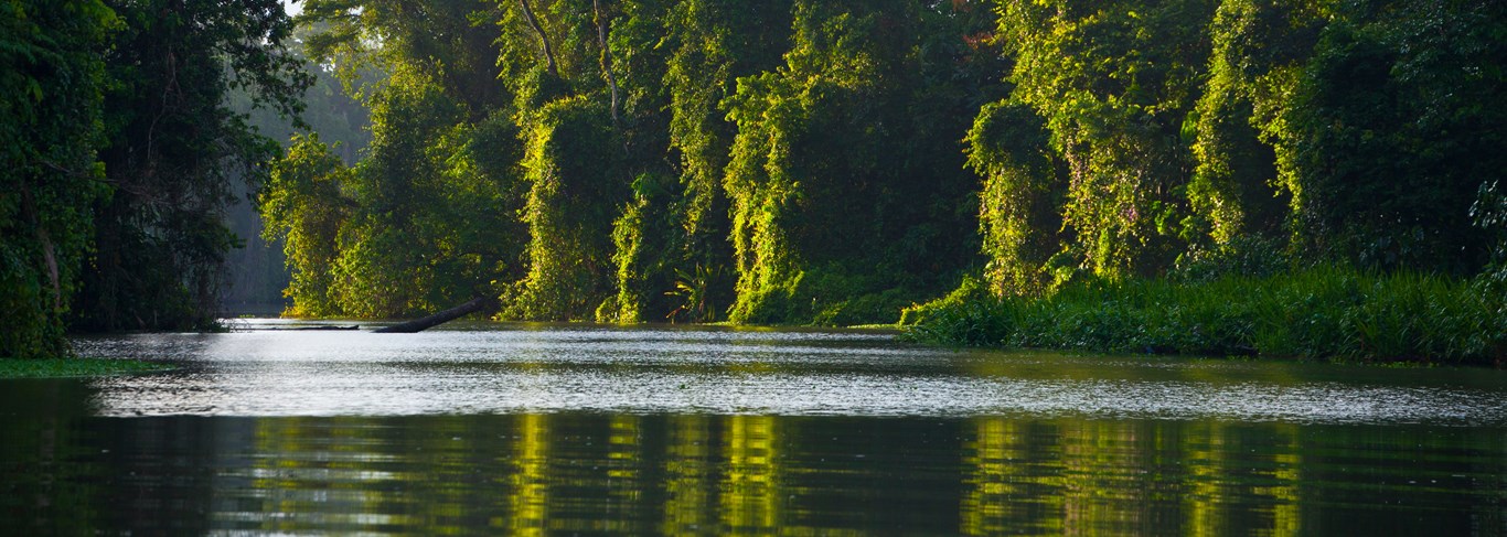 Prestigieux Costa Rica