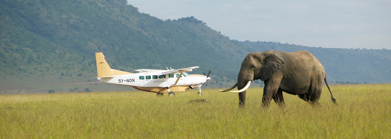 Safari avion privé