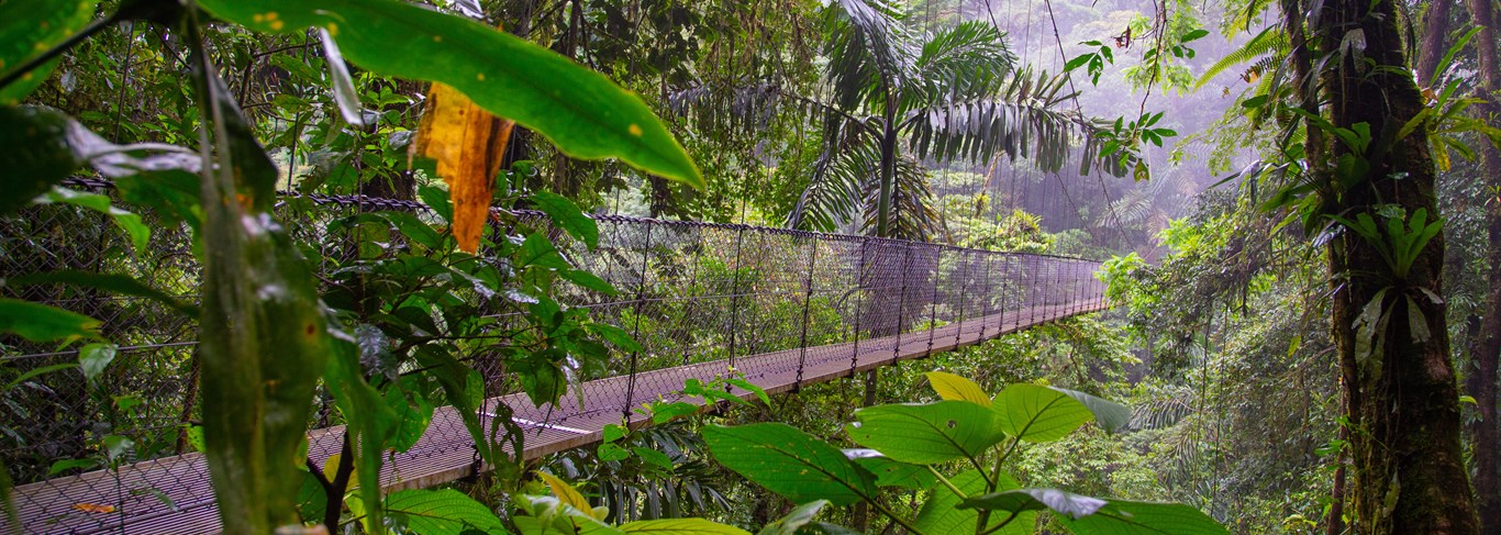 Que faire au Costa Rica ? 