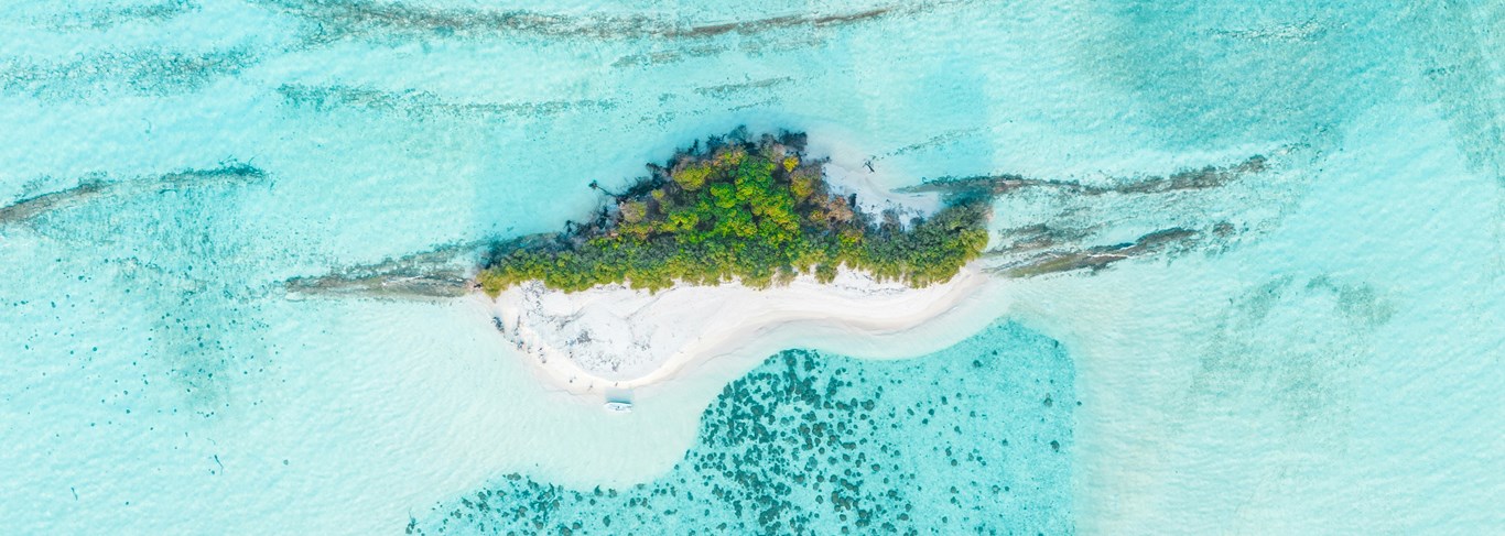 Un banc de sable et de verdure au coeur de l'océan