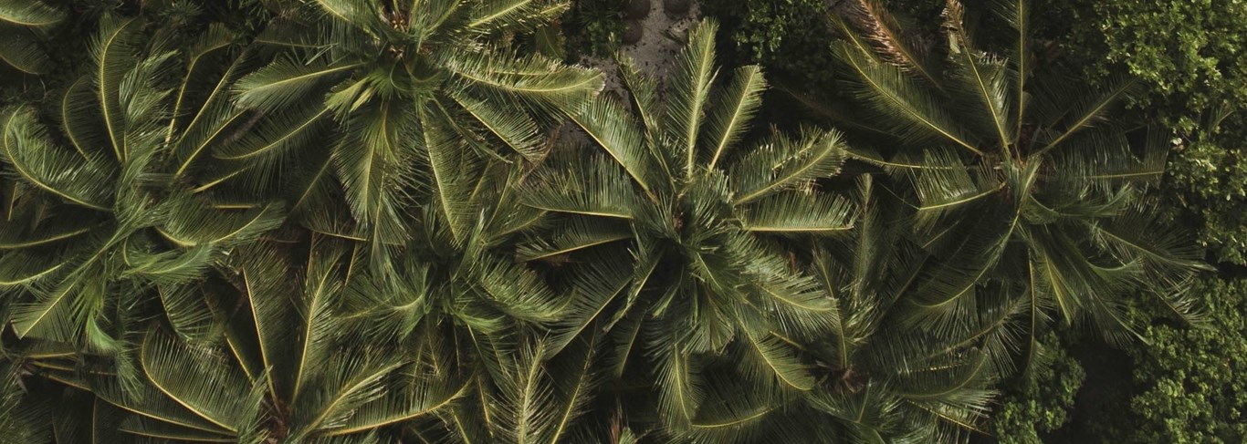 Entre lagons turquoise & plages de sable blanc
