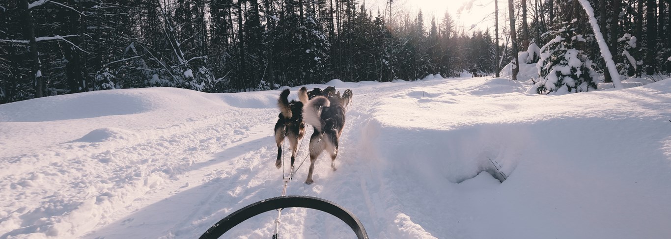 Raid motoneige et traineau à chien au Québec