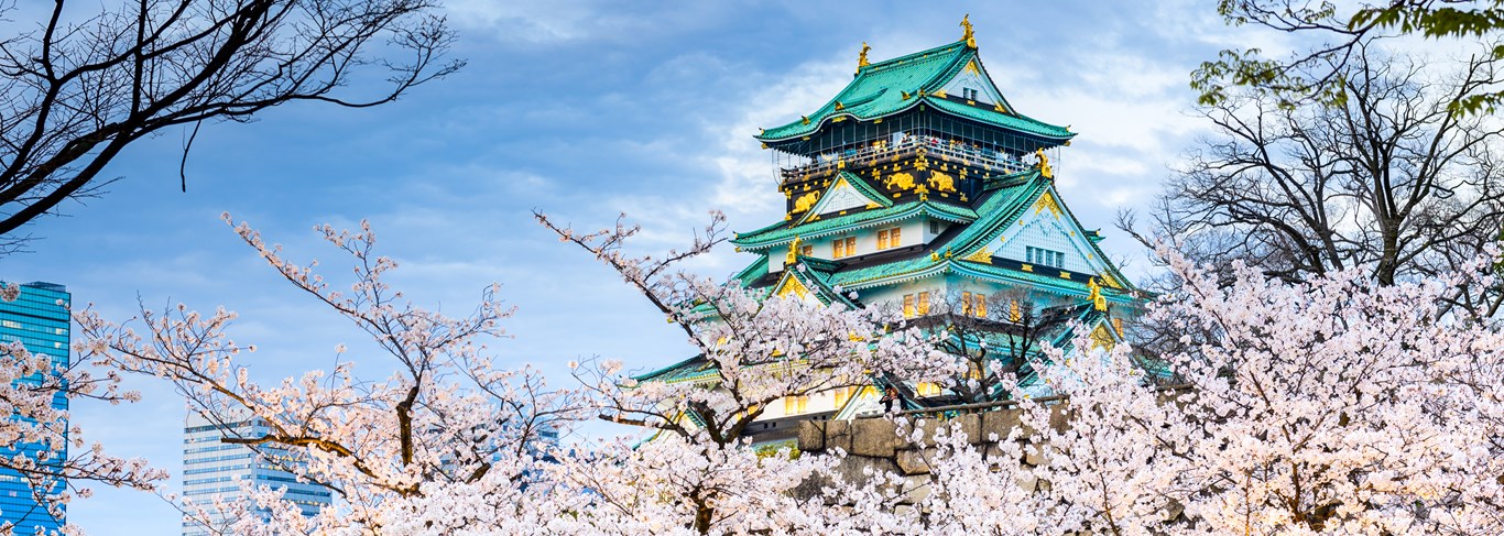 Château d'Osaka entouré de cerisiers en fleur