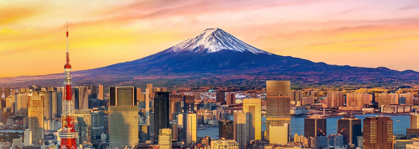Vue aérienne sur la ville de Tokyo et le mont Fuji