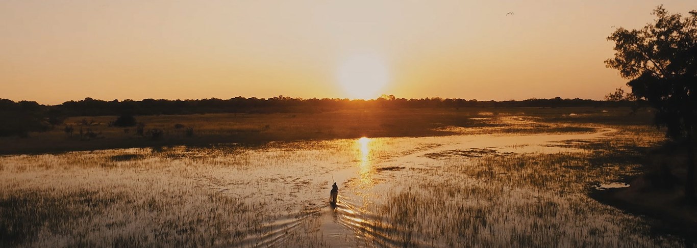 Sanctuary Chief's Camp (Moremi)