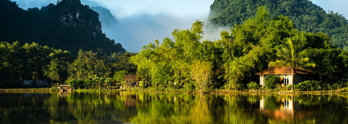 Les paysages verdoyants alentours