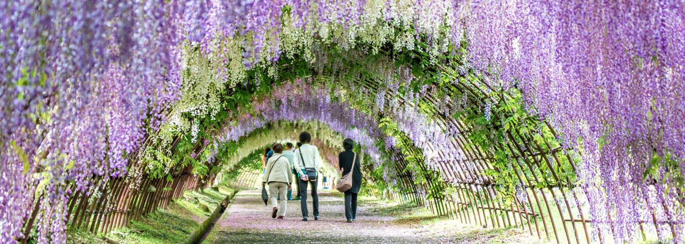 Top 10 des plus beaux jardins et parcs du Japon