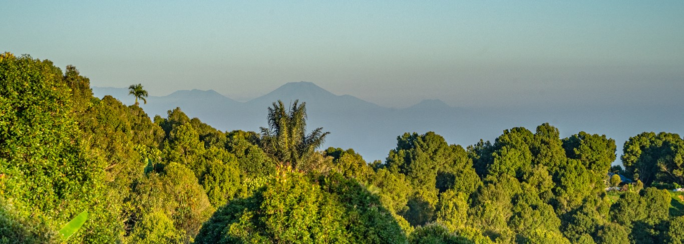 La vue sur les montagnes verdoyantes