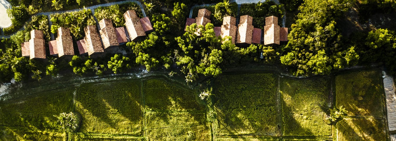 Parcourez les rizières 