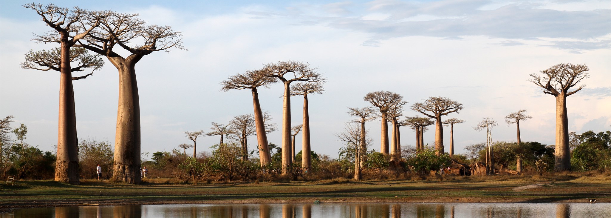 Madagascar et Nosy Be la sélection voyages de oovatu