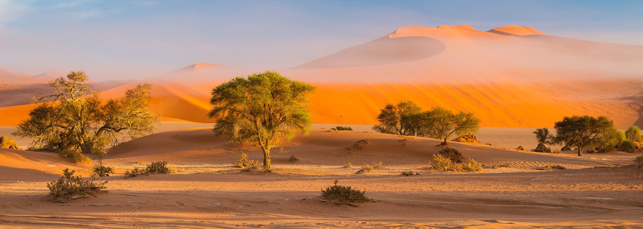 Voyage Namibie Avec L'agence Spécialiste OOVATU