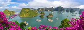 Comment visiter la baie d'Halong au Vietnam ?