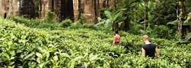 Du Sri Lanka aux Maldives, un rêve à deux 