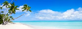 Île Maurice vs Maldives : quelle île choisir ?