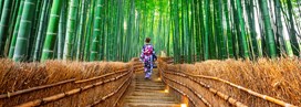 Les 10 lieux insolites à découvrir au Japon
