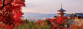 Les plus beaux temples du Japon