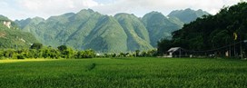 Les rizières de Mai Chau