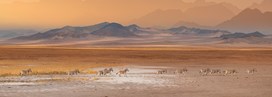 Parc national d'Etosha