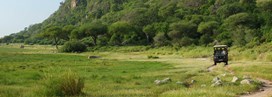 Comment organiser son safari en Tanzanie ?