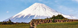 Visiter le mont Fuji : volcan iconique du Japon