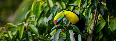 Costa Rica