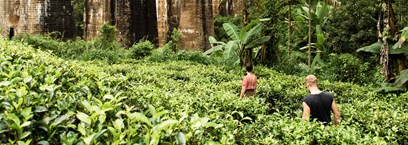 Du Sri Lanka aux Maldives, un rêve à deux 