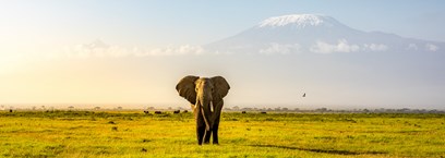 Kenya, entre savane et océan