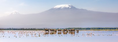 Les plus beaux parcs du Kenya