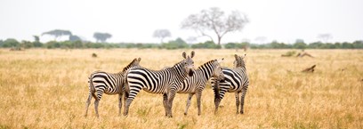 Pans de Makgadikgadi