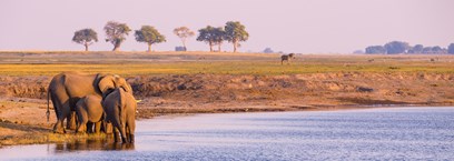 Parc national de Chobe