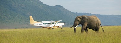 Prestigieux Kenya