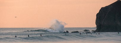 Tamarindo