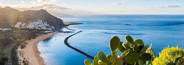 Canaries