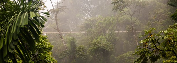 Monteverde