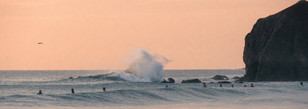 Tamarindo